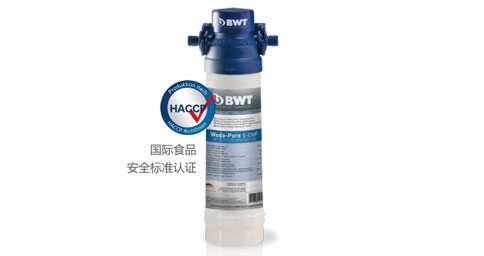 BWT Woda-Pure s超能係列草莓视频官网在线观看器
