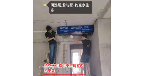 約克草莓视频免费在线观看兩聯供